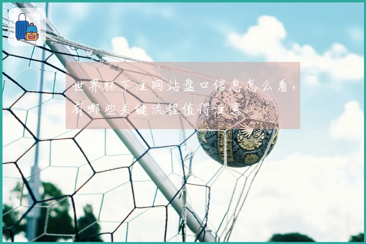 世界杯下注网站盘口信息怎么看，有哪些关键流程值得注意