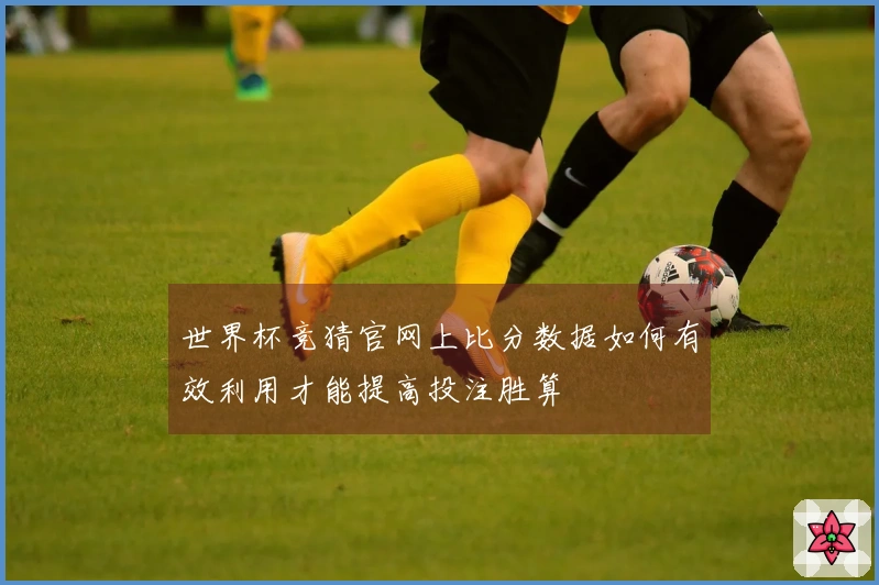 世界杯竞猜官网上比分数据如何有效利用才能提高投注胜算