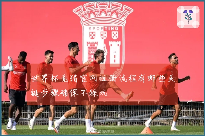 世界杯竞猜官网注册流程有哪些关键步骤确保不踩坑