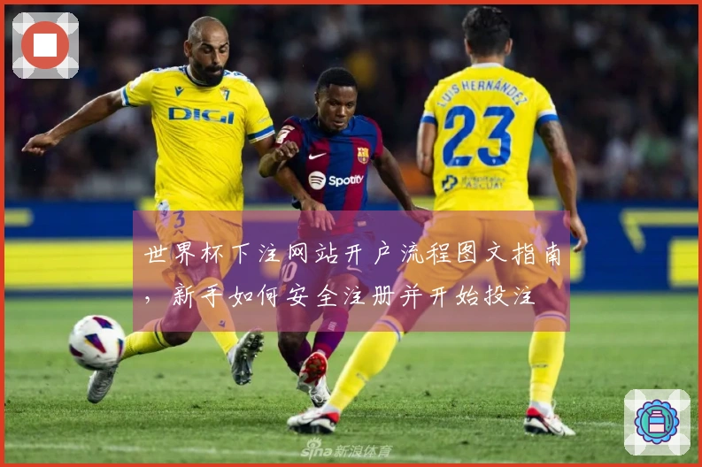 世界杯下注网站开户流程图文指南，新手如何安全注册并开始投注